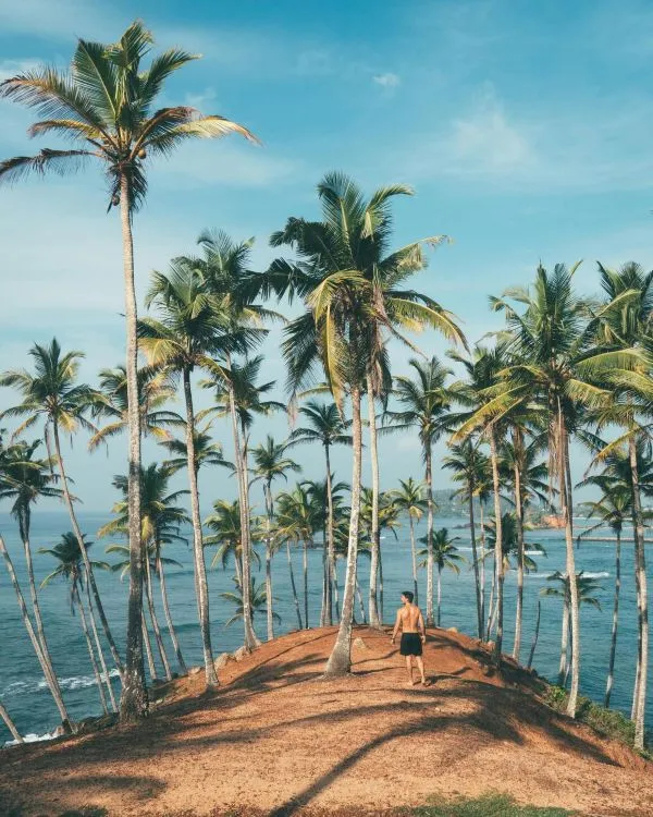 jungle beach