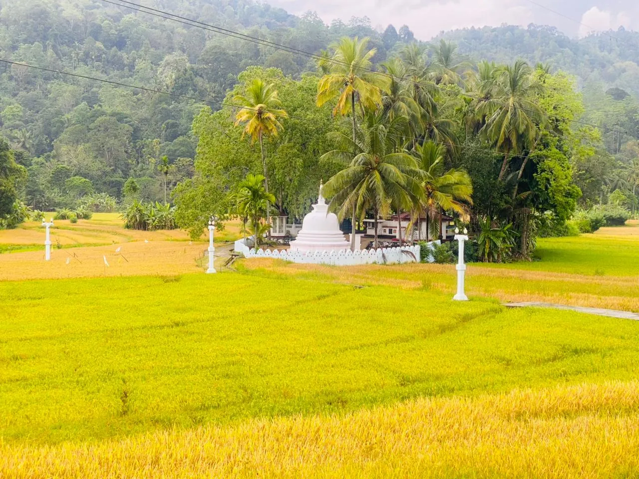 temple