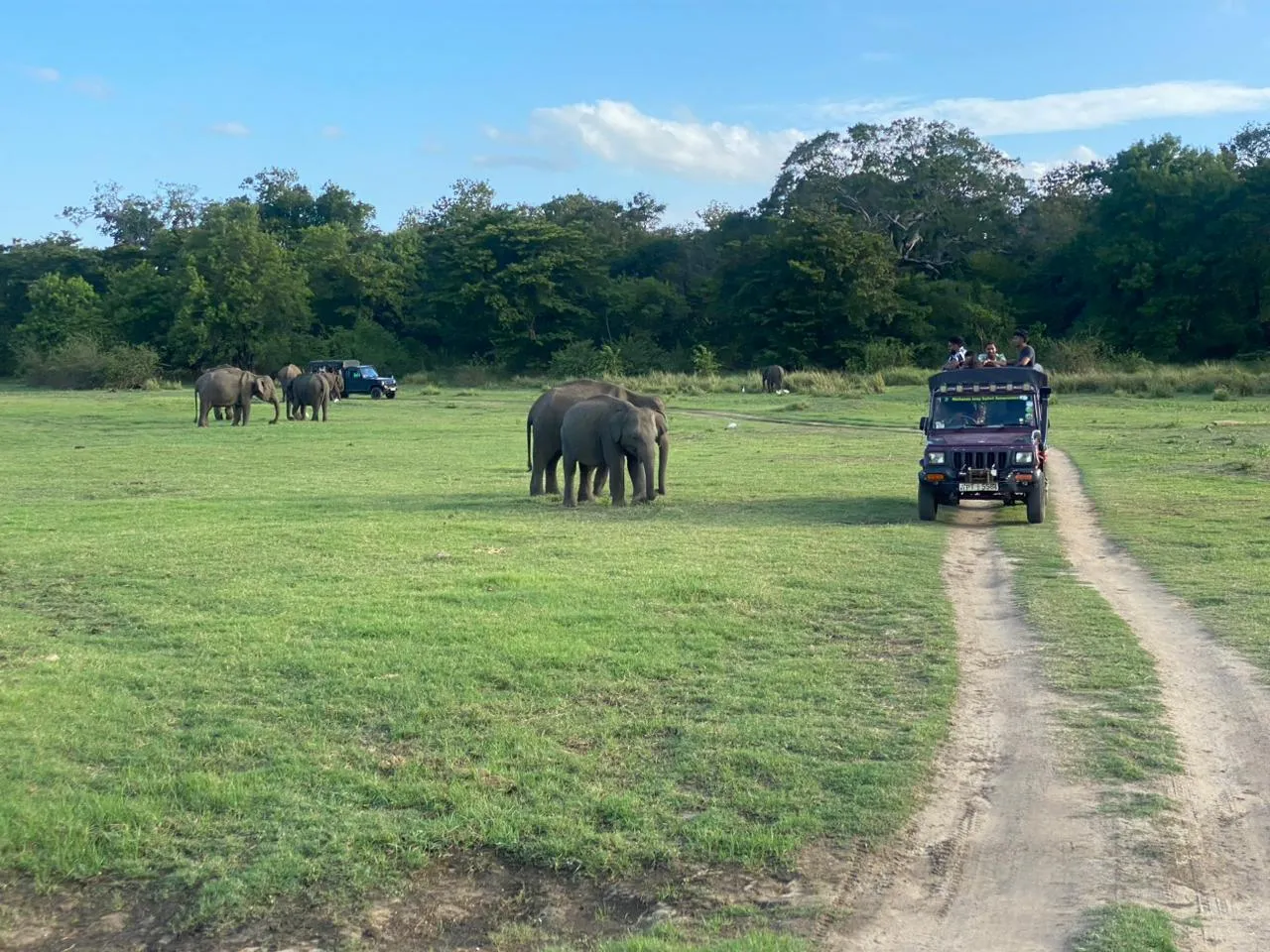 Yala National Park